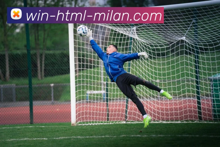 米兰体育APP 封面图